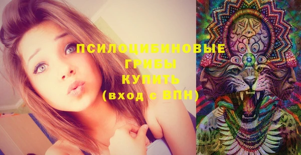 прущая мука Зеленокумск