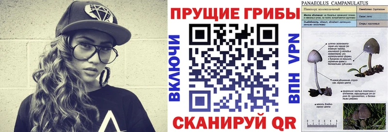 Купить где  Новая Усмань  Псилоцибиновые грибы Magic Shrooms 